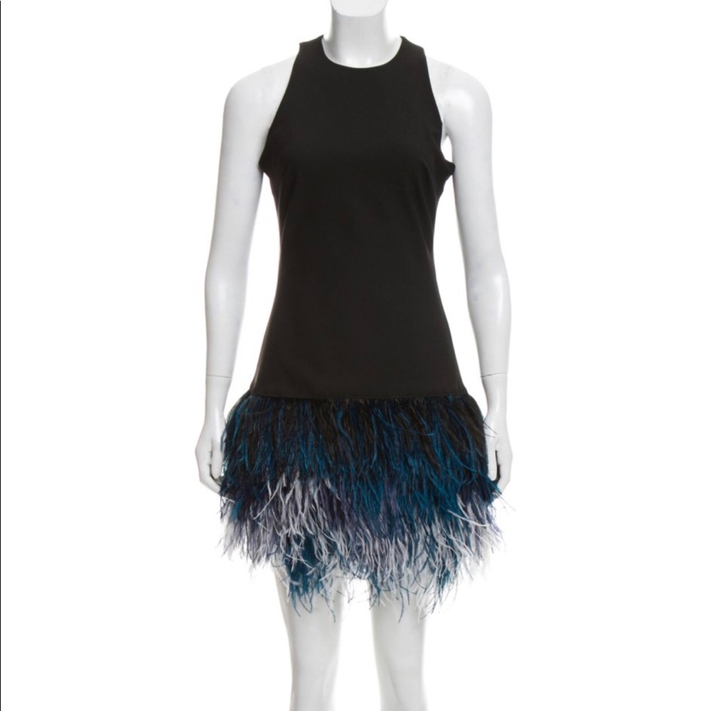 Elizabeth and James Feather Embellished Dress NWT